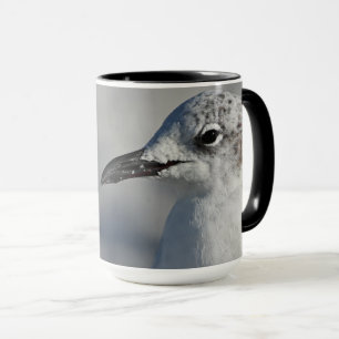 Fotografi av Natural White Laughing Gull Florida Mugg