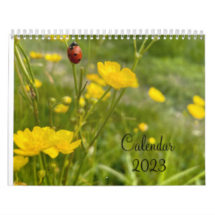 Fotografi av natursnäckor kalender