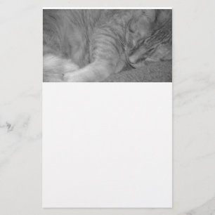 Fotografi av orange Tabby katt/svartvitt Brevpapper
