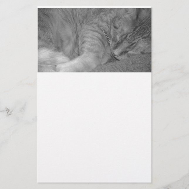 Fotografi av orange Tabby katt/svartvitt Brevpapper (Framsida)