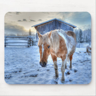 Fotografi av Palomino Paint Horse och Barn Equine Musmatta