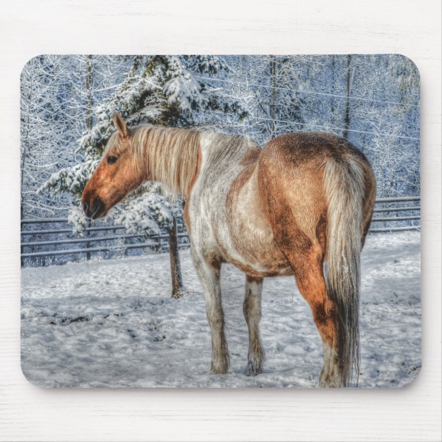 Fotografi av palomino Paint Horse och Snö Musmatta (Framsidan)