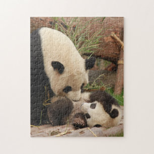 Fotografi av Panda Bear Fotography i Motherand Bab Pussel
