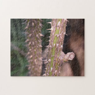 Fotografi av Plant Stem Thorns Nature Park Pussel