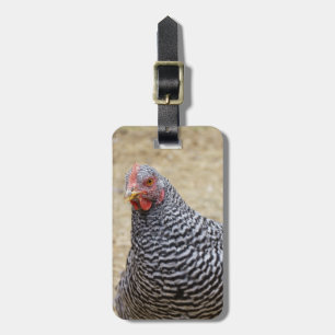 Fotografi av Plymouth Barred Sten Hen Bagagebricka