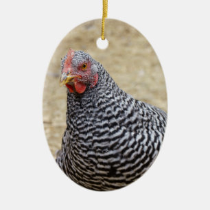 Fotografi av Plymouth Barred Sten Hen Julgransprydnad Keramik