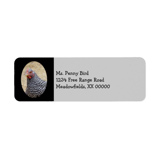 Fotografi av Plymouth Barred Sten Hen Returadress Etikett (Framsidan)