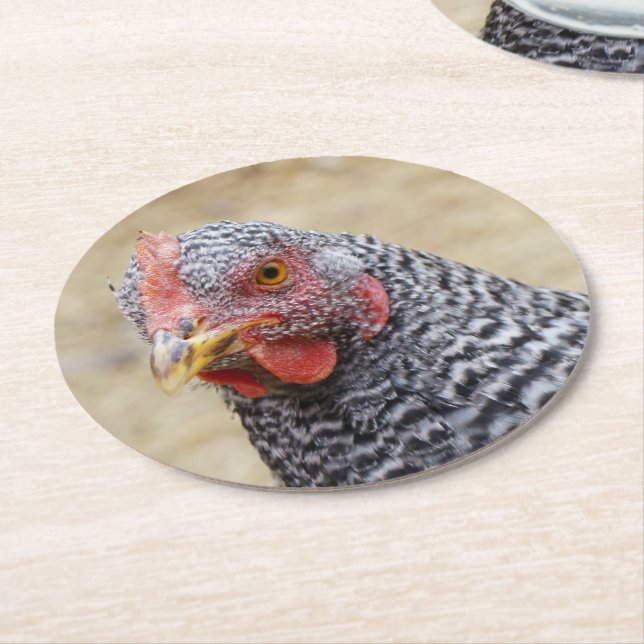 Fotografi av Plymouth Barred Sten Hen Underlägg Papper Rund (Vinklad)