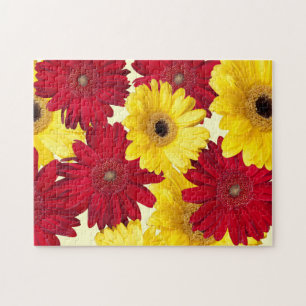 Fotografi av röd och Gult Gerber Daisy Pussel