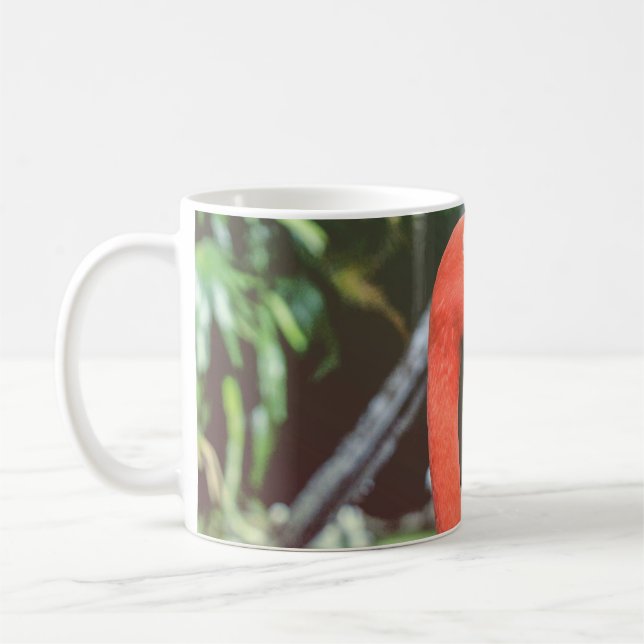 Fotografi av rödfågel i nacke kaffemugg (Vänster)