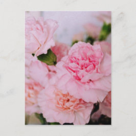 Fotografi av rosa nejlikblommor vintage stil vykort