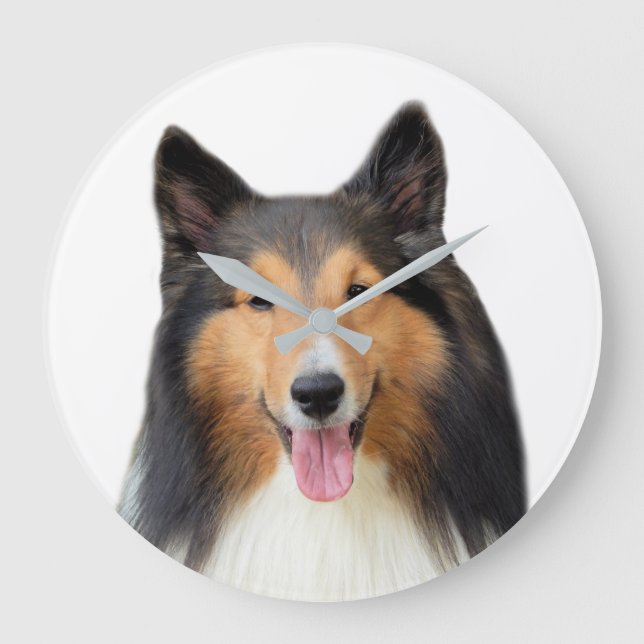 Fotografi av sällskapsdjur med Shetland Sheepdog-h Stor Klocka (Framsida)