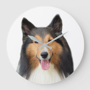 Fotografi av sällskapsdjur med Shetland Sheepdog- Stor Klocka