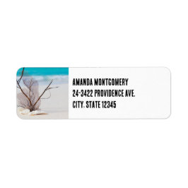 Fotografi av Seashells på en Sandy Beach Returadress Etikett