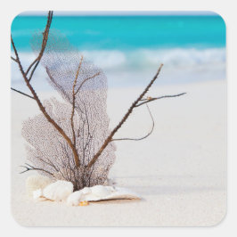 Fotografi av Seashells på en strand Fyrkantigt Klistermärke