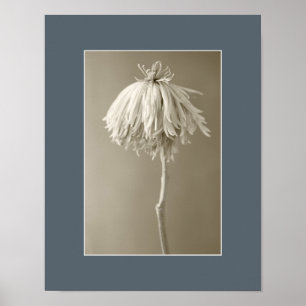 Fotografi av Sepia Blommigt Porträtt Poster