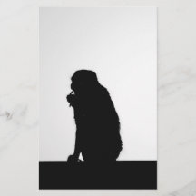 Fotografi av silhuett av apa som trådar