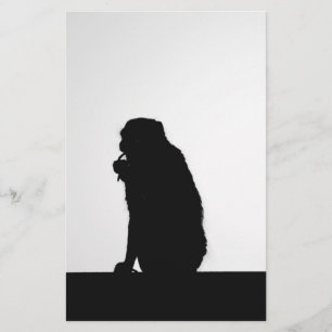 Fotografi av silhuett av apa som trådar