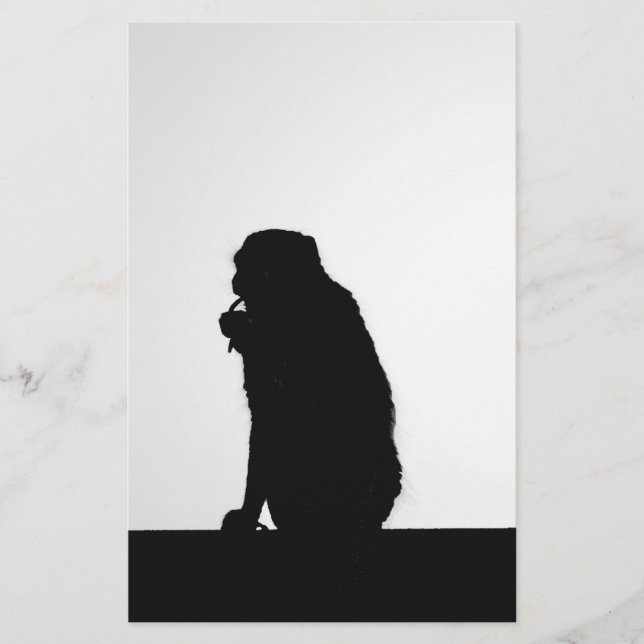 Fotografi av silhuett av apa som trådar (Framsida)