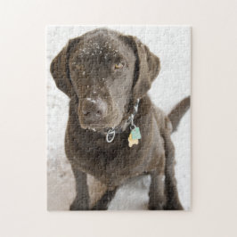 Fotografi av snö Sprinkled Chocolate Lab Pussel