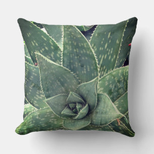 Fotografi av solfångaraloe Plant Kudde