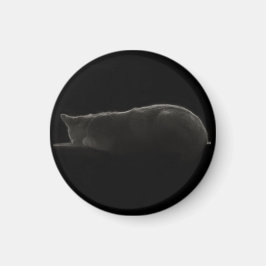 Fotografi av sovplatta Silhouette-foto Magnet