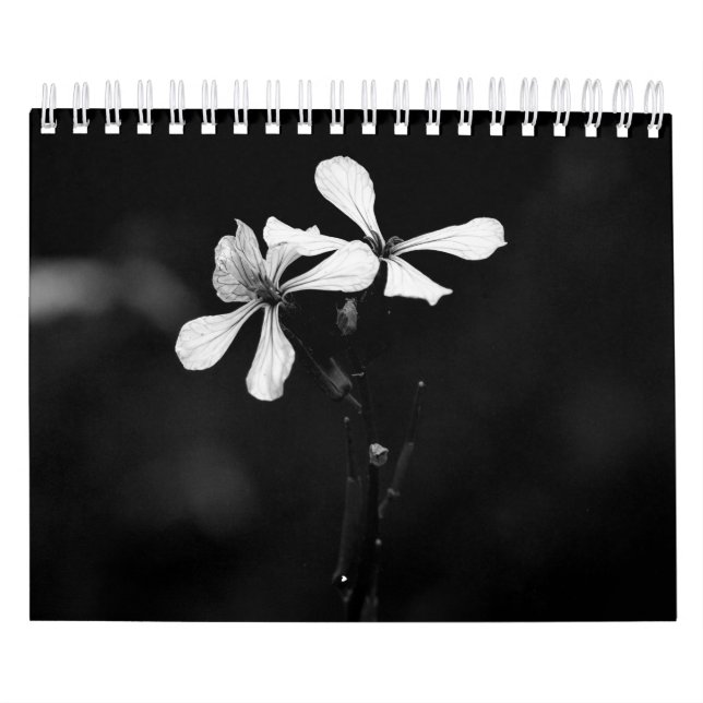 Fotografi av svarta och vita blommor kalender (Omslag)
