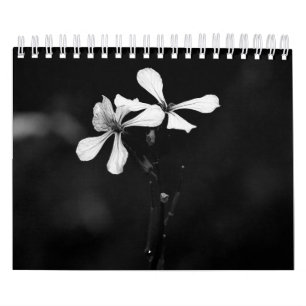 Fotografi av svarta och vita blommor kalender