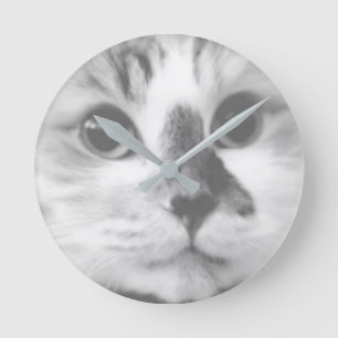 Fotografi av toppen CUTE Cat Closeup Porträtt Rund Klocka