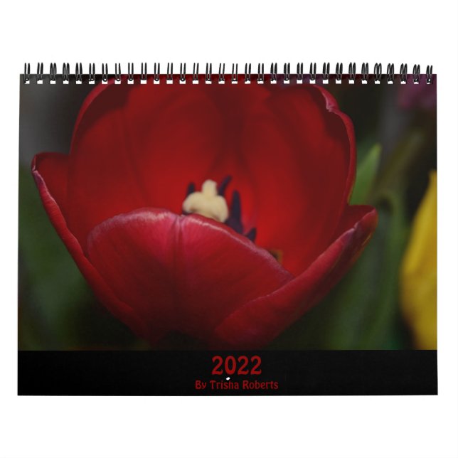 Fotografi av Trisha Roberts Calendar Kalender (Omslag)