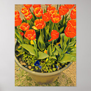 Fotografi av tulpanblommor, orange, festival poster