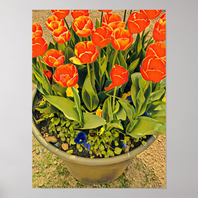 Fotografi av tulpanblommor, orange, festival poster (Framsidan)