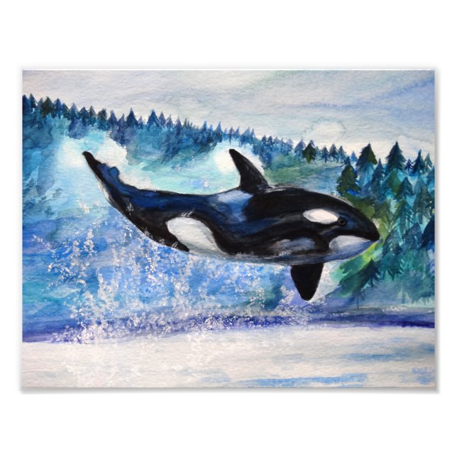 Fotografi av vattenfärg för Orca-vilda djur (Framsidan)