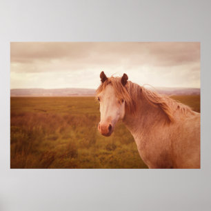 Fotografi av vild av vintage poster