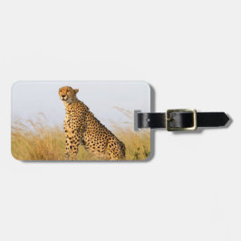 Fotografi av vilda djur i Cheetah Afrika Safari-dj Bagagebricka