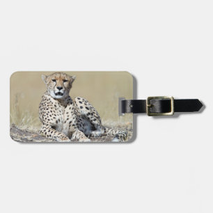 Fotografi av vilda djur i Cheetah Afrika Safari-dj Bagagebricka