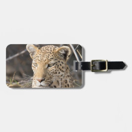 Fotografi av vilda djur i leopard Afrika Safari Bagagebricka