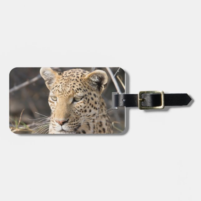 Fotografi av vilda djur i leopard Afrika Safari Bagagebricka (Horisontell Framsida)