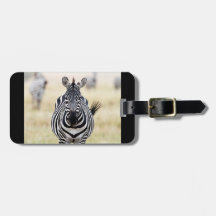 Fotografi av vilda fåglar i Zebra Afrika Safari-dj