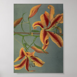Fotografi av vintagens blomma poster