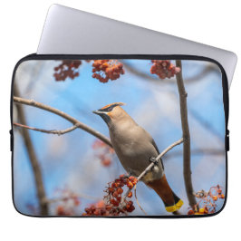 Fotografi, bohemisk vaxning laptop fodral