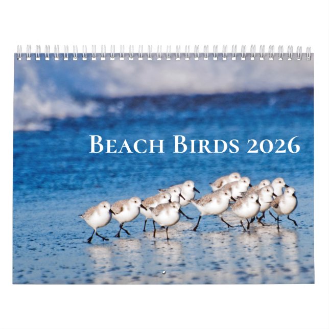 Fotografi för båge kalender (Omslag)