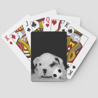 Fotografi för bulldogg "för fotbollvalp" engelsk kortlek