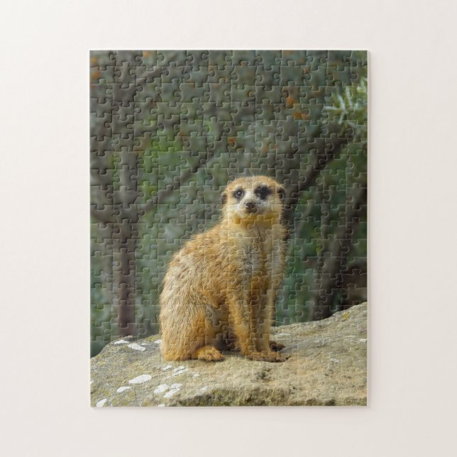 Fotografi för Cute Meerkat Sitta Pussel (Vertikal)