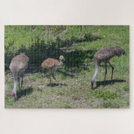 Fotografi för familjen Florida Sandhill Cranes Pussel