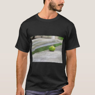 Fotografi för frukt- och konturutskrift t shirt
