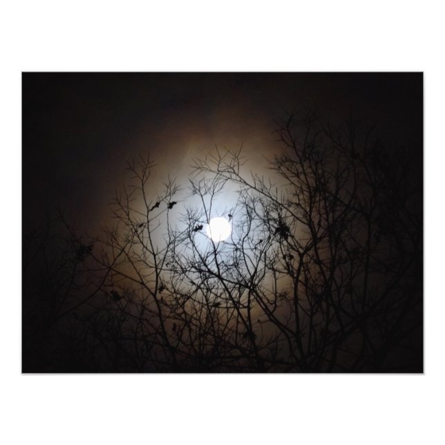 Fotografi för fullt läge (Framsidan)