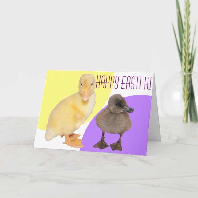Fotografi för fuzzy Ducklings-fotografier för glad Helgkort (Framsida)