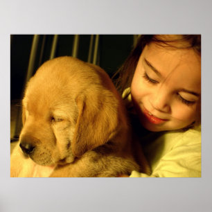 Fotografi för golden Retriever Puppy-Hund Poster