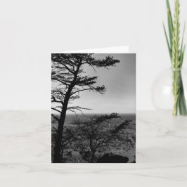 Fotografi för hälsningskortet Forest Nature Landca Kort